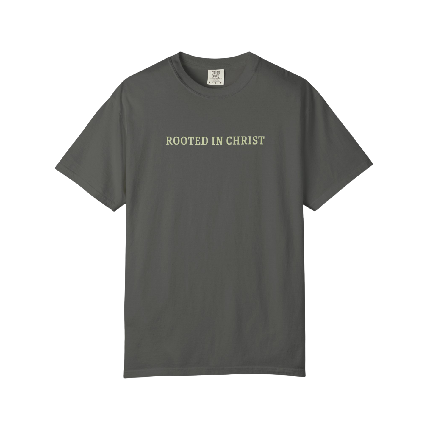 ROOTED IN CHRIST GRAPHIC TEE